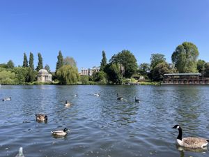 The Thames at Hurst Park- click for photo gallery